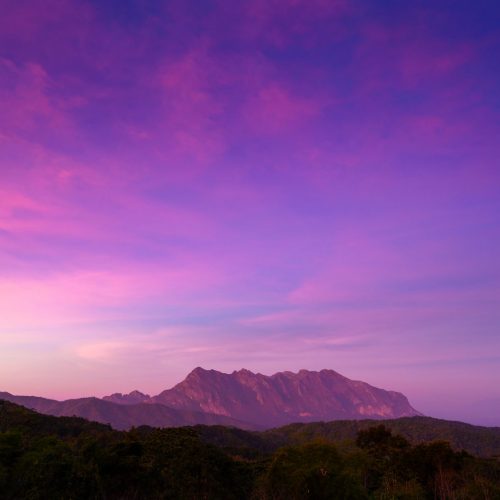 shutterstock 786245974